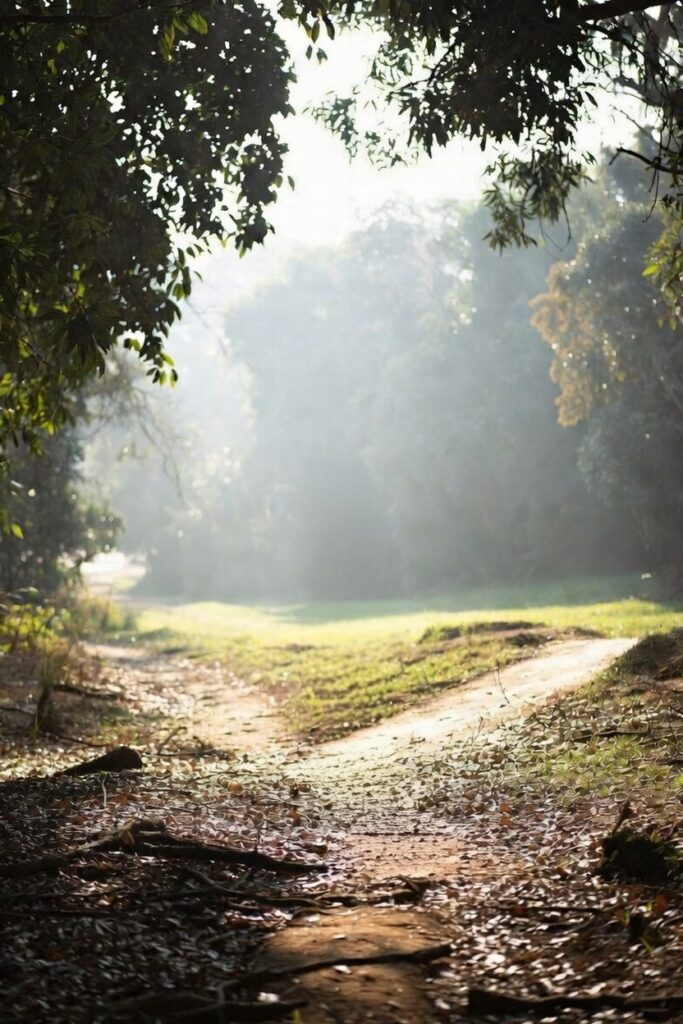 : Bifurcação em caminho natural representando a intuição forte como guia nas decisões